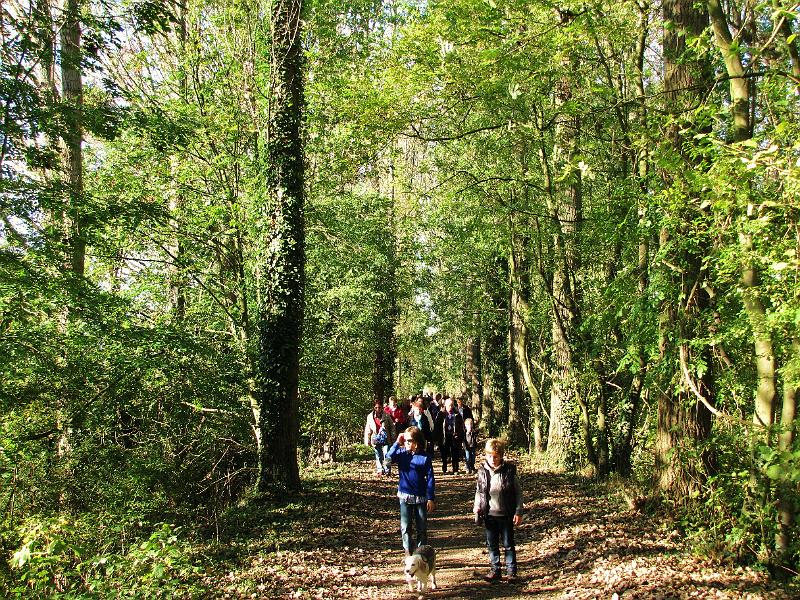 25ste Herfstwandeling van Armand en Judith op 23-10-2011 (38).jpg